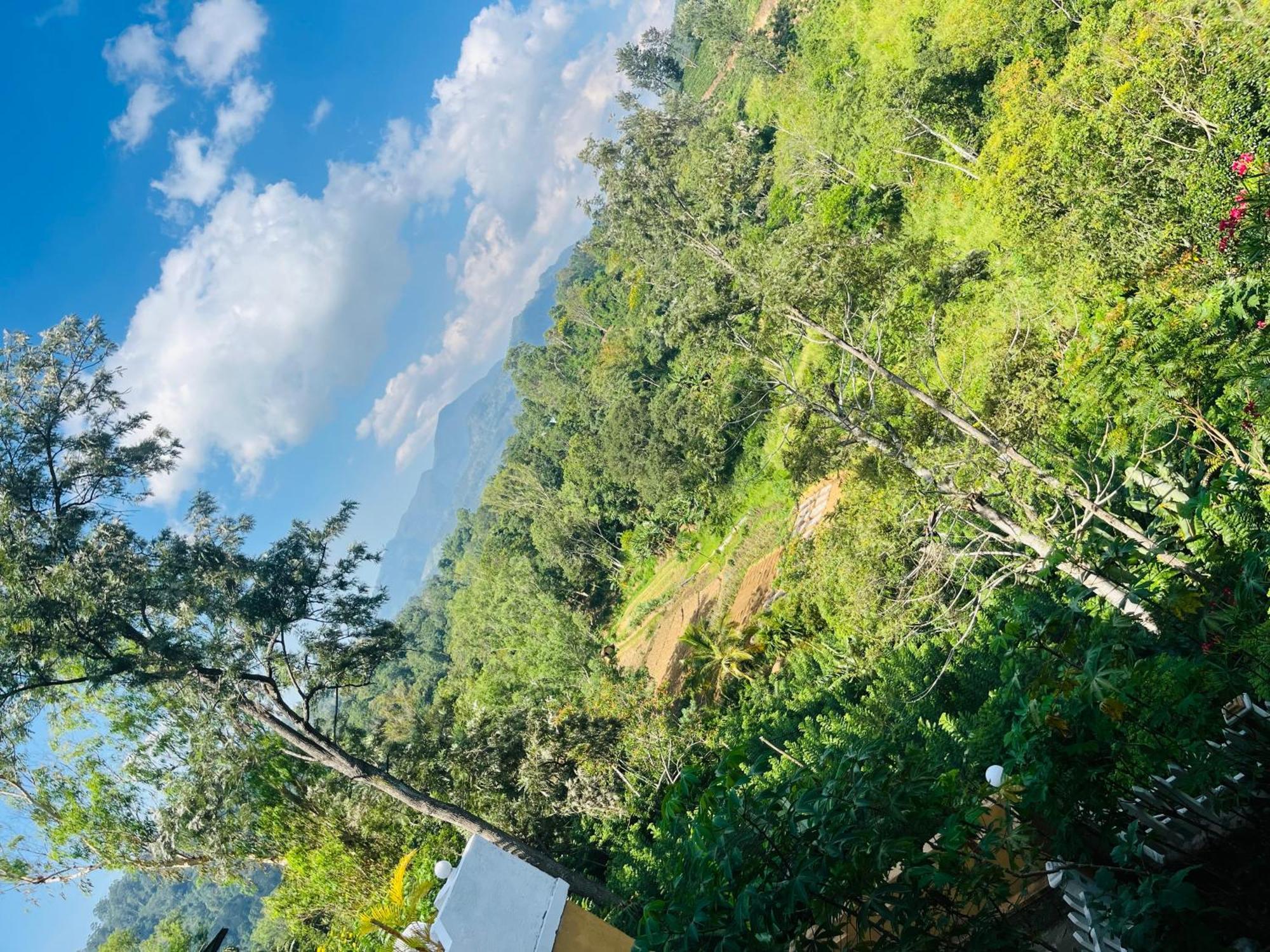 Viyanga Homestay Ella Ngoại thất bức ảnh