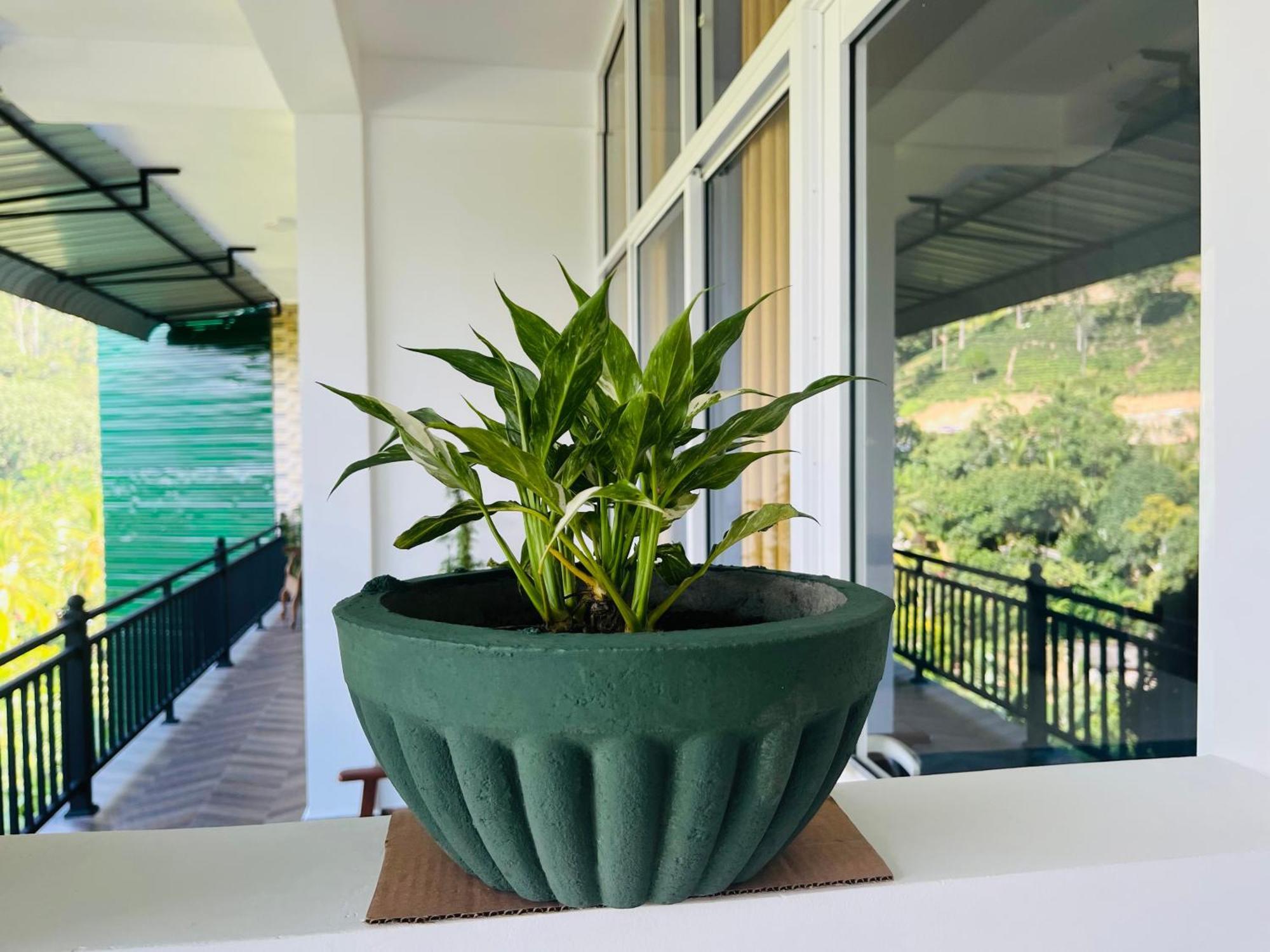 Viyanga Homestay Ella Ngoại thất bức ảnh