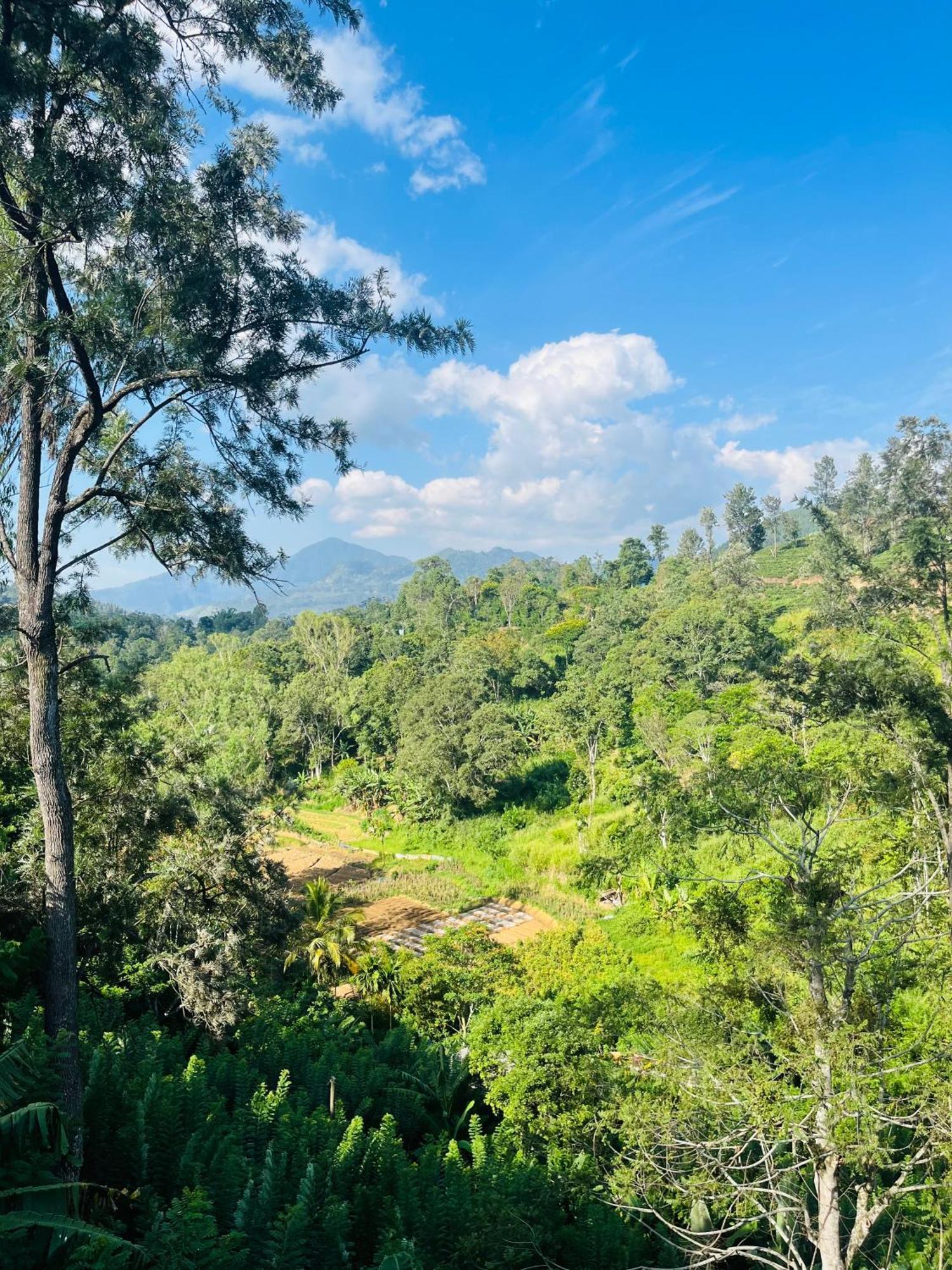 Viyanga Homestay Ella Ngoại thất bức ảnh