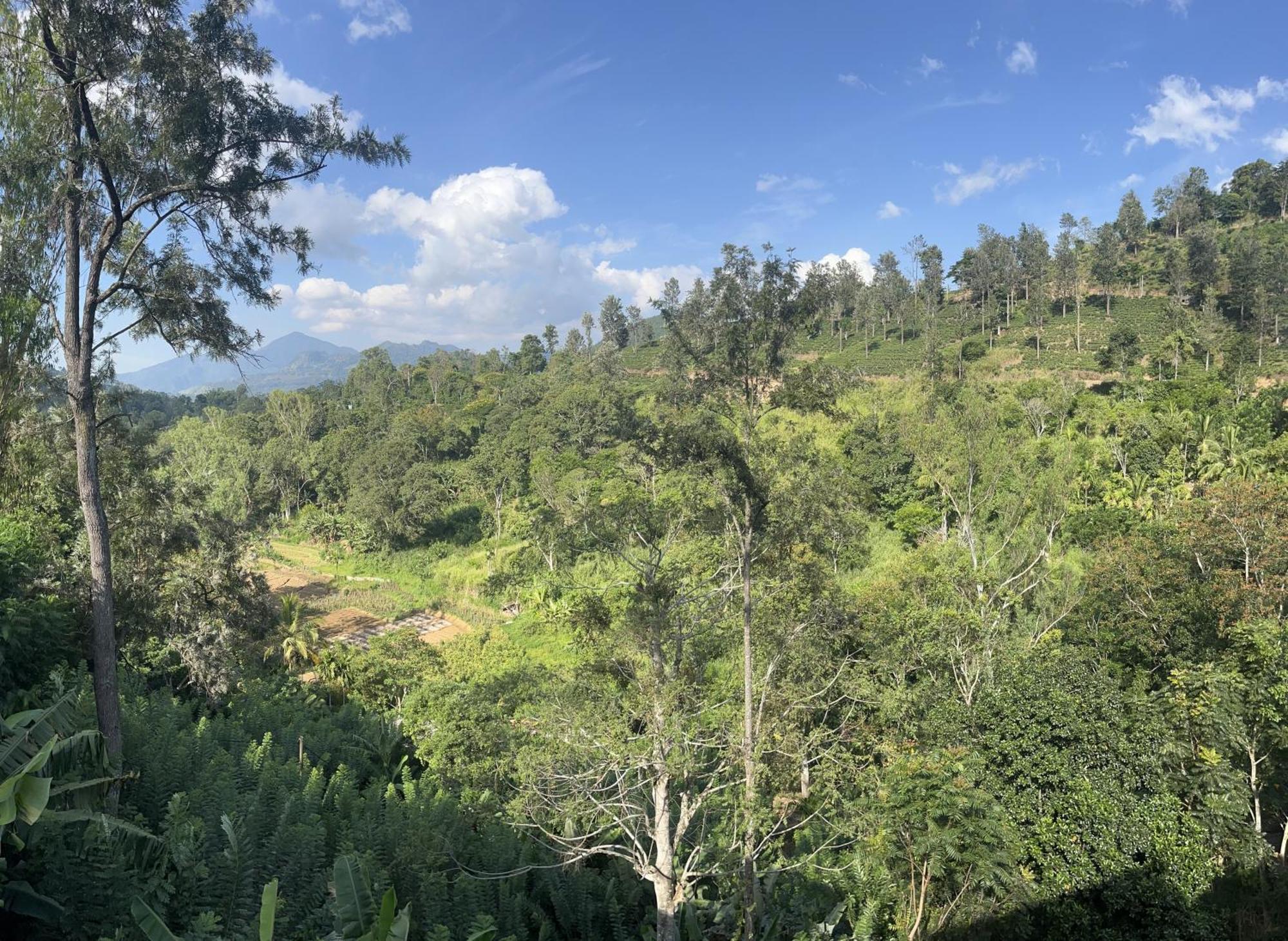 Viyanga Homestay Ella Ngoại thất bức ảnh