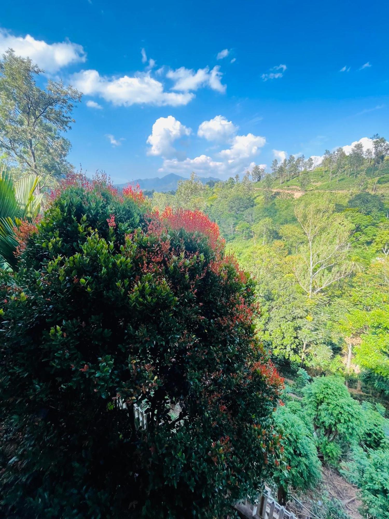 Viyanga Homestay Ella Ngoại thất bức ảnh