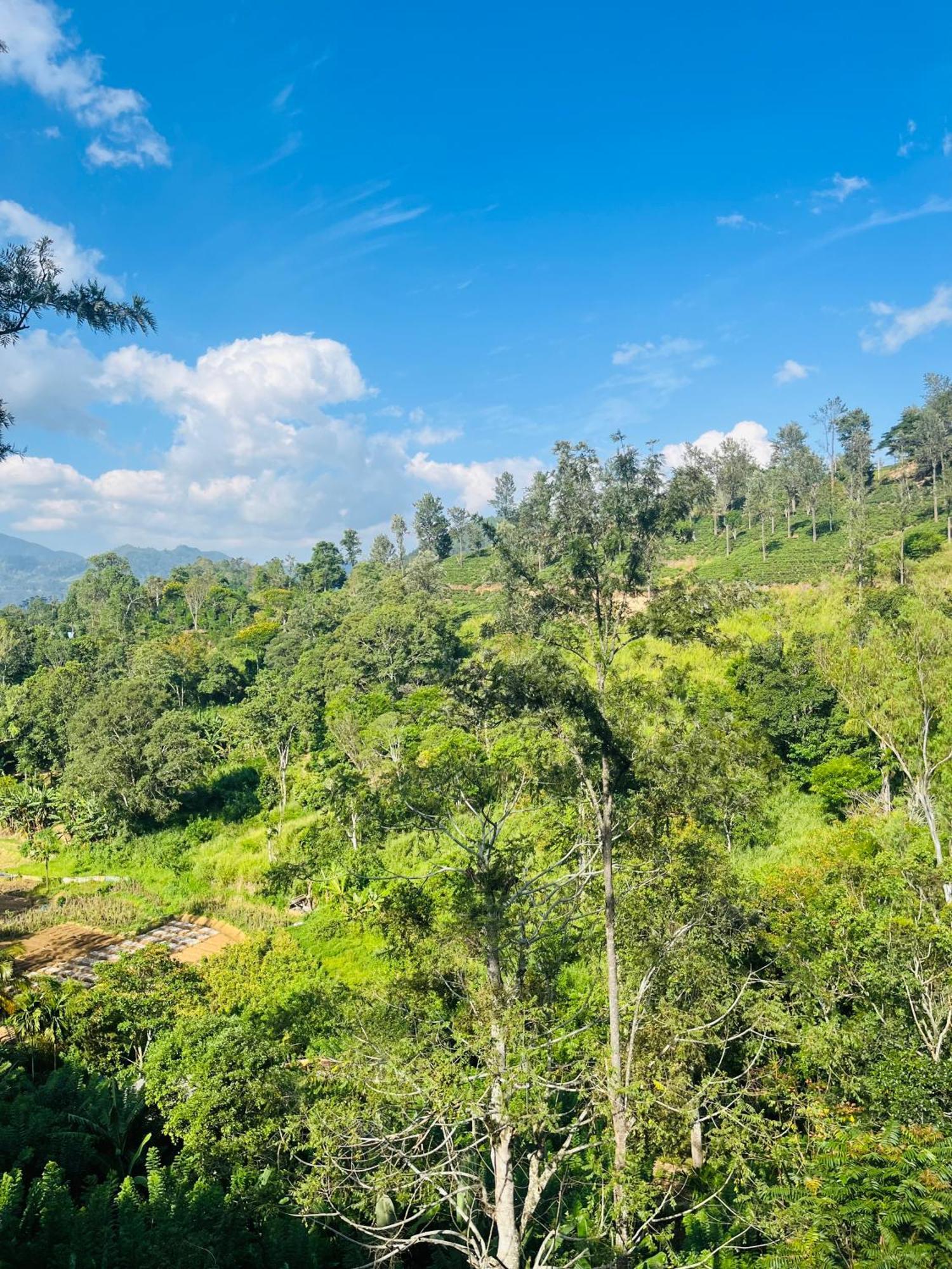 Viyanga Homestay Ella Ngoại thất bức ảnh
