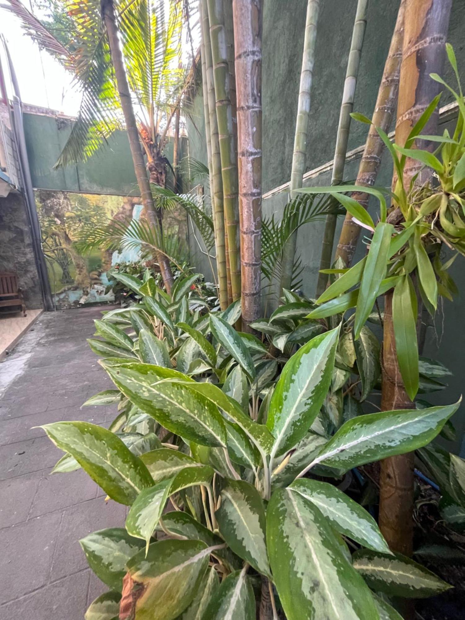 Viyanga Homestay Ella Ngoại thất bức ảnh
